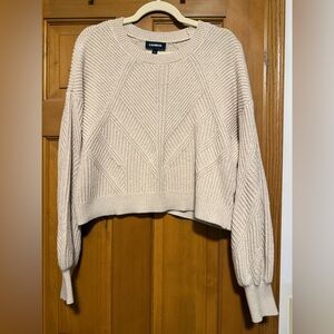 Express Beige Textured Knit Sweater